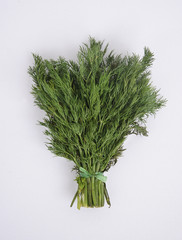 Fresh dill