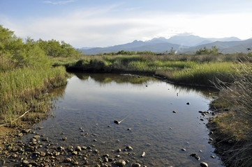 Etang nature sauvage corse