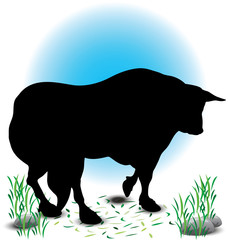 Bull Silhouette