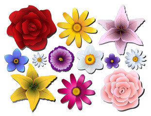 Vector illustration. Set of flowers of different colors