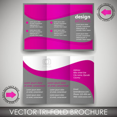 Tri-fold corporate business store brochure