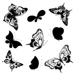 butterflies design