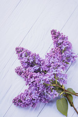 wooden background with lilac flowers