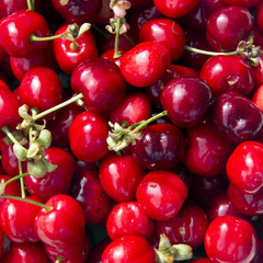 cherries