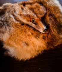 Sleeve muff of fox fur