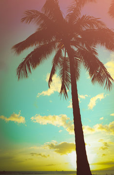 Retro Styled Hawaiian Palm Tree