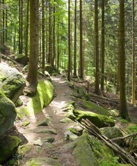 Gertelbach hiking trail