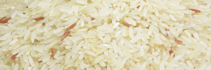 rice grain (jasmine rice)