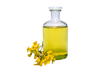 glass bottle of rape seed oil with rape flowers
