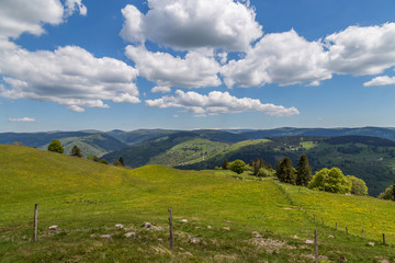 paysage des  Vosges