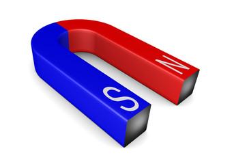 Magnet
