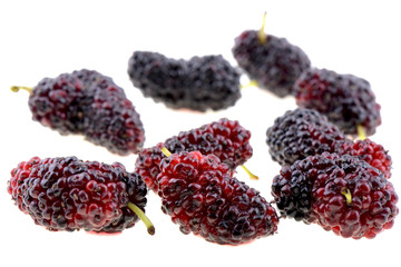 Closeup of mulberry