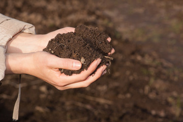 hands with soil
