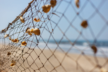 fishing net in beach with shells