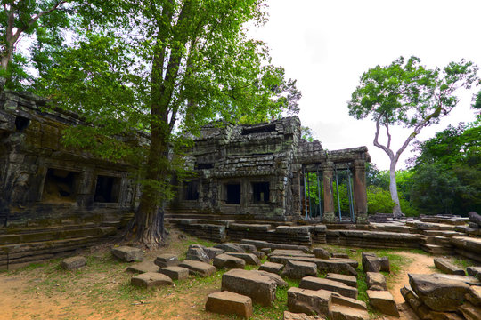 Prasat Ta Prum. Tree and Stones.