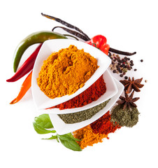 Various kind of spices isolated on white