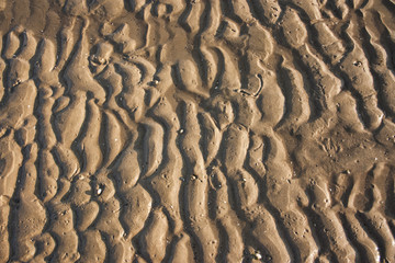 Dune di sabbia in spiaggia durante la bassa mera