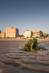Alba su mare Adriatico