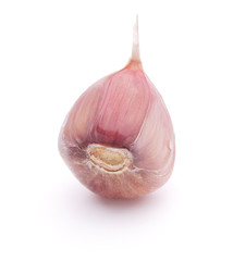 Garlic clove isolated on white background cutout