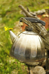 Old retro teapot, outdoors
