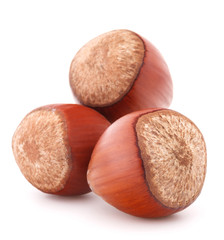 hazelnut or filbert nut isolated on white background cutout