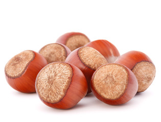 hazelnut or filbert nut isolated on white background cutout