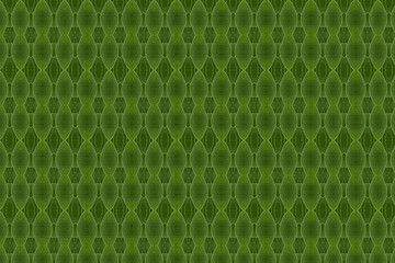 Wall paper concept.( Create form green leaf )