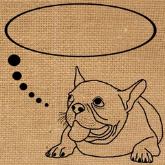 Poster French bulldog © evegenesis