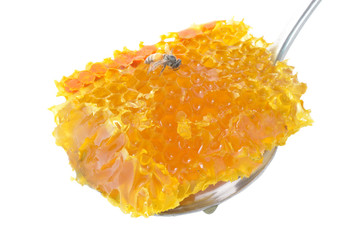 Honey Drip From Spoon
