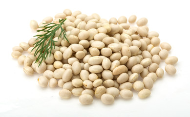 White dry beans