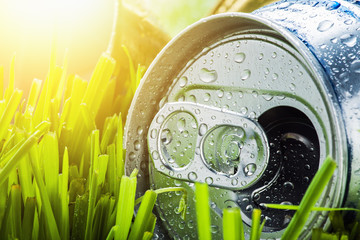 aluminum cans on a green grass