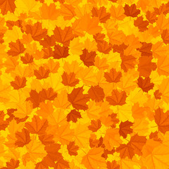 Naklejka na ściany i meble seamless texture of autumn leaves