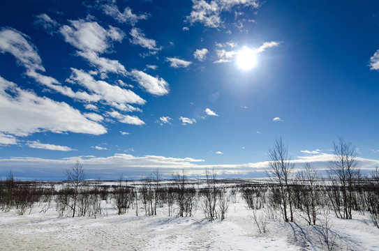 Sunny winter day in Scandinavian tundra