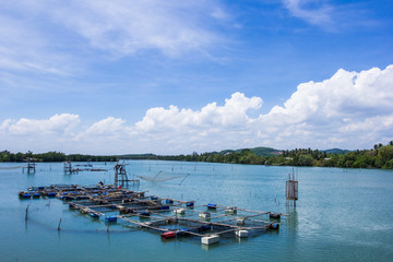 Fototapeta na wymiar Cage aquaculture farming, Thailand