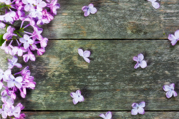 flowers background