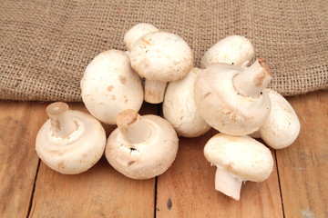 champignons de paris