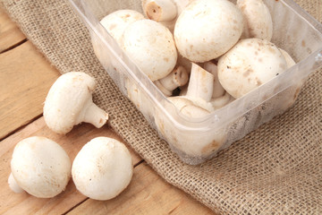 champignons de paris