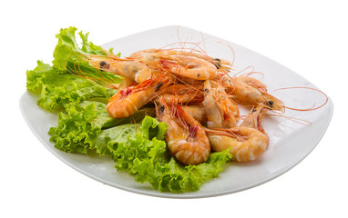 Big tiger shrimps
