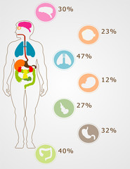 silhouette of the person and organs.