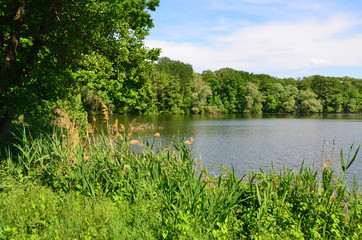 jungfernheide