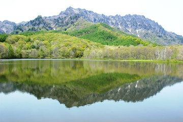 Fototapeta na wymiar 鏡池