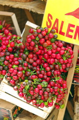 petit piments