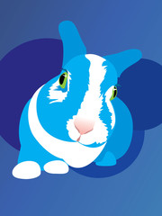 Obraz premium Rabbit fell fright animal bunny eye fear