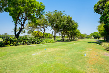 Golfing