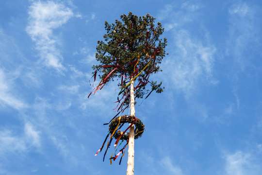 Maibaum