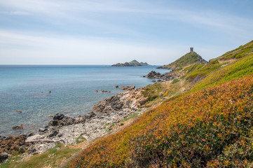 Archipel des Sanguinaires