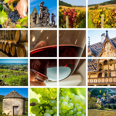 composition vignoble bourgogne
