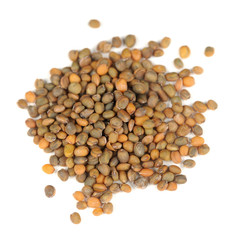 Radish Seeds Isolated on White Background