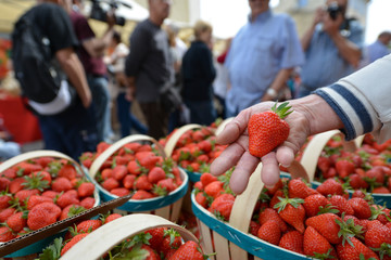 F&ecirc;te de la Fraise de Velleron