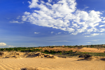 Fototapeta na wymiar Blue Sky Above Red Sand Dunes.